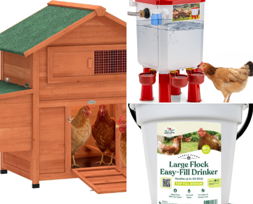 Backyard Chicken Coop & Homestead Essentials: Top Amazon Picks for Central Florida cover photo collage