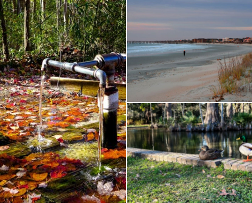 Taking a SC trip? Stop here! cover photo collage