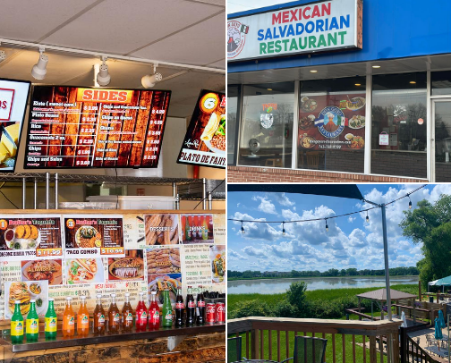 My top Fridley recs cover photo collage