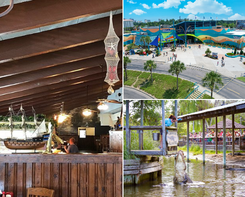 Katie's recs cover photo collage