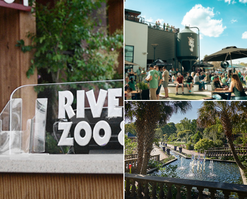 things to do if you swing on down to columbia, sc cover photo collage