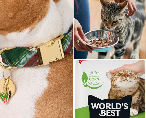 Best Pet Products To Spoil Your Fur Babies cover photo collage