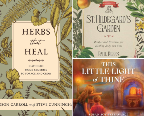 Beating Project Panama: Books on My Home Library Shelf - Sophia Edition cover photo collage