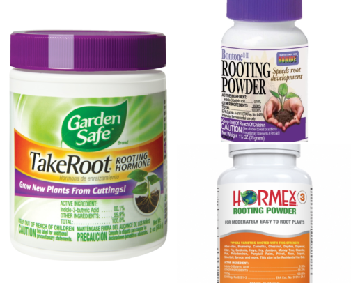 Root Hormone Powder I Dip Cuttings In Because I Was Tired of Watching Them Die cover photo collage
