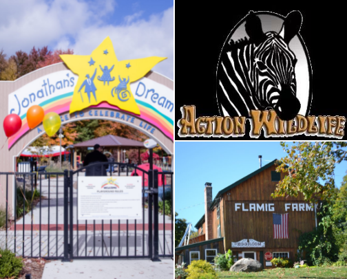 Family Fun Bucket List cover photo collage