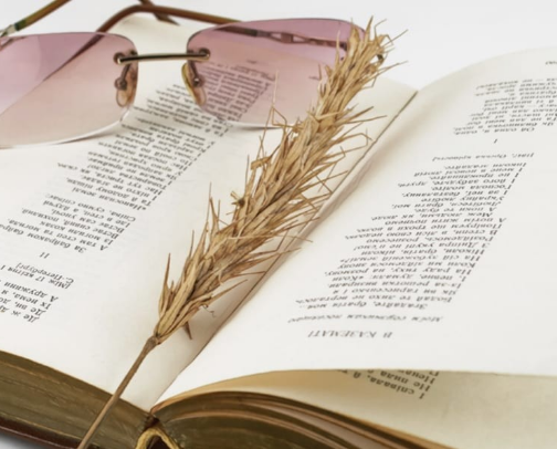 5-stars French poetry books for beginners cover photo collage