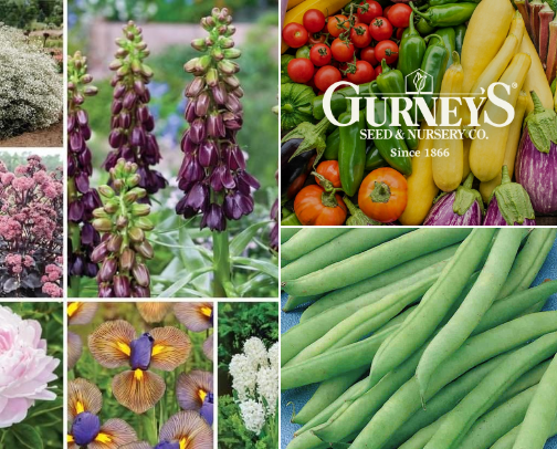 Gardening,plants,seeds,etc! Get a jump start on spring and get your garden ready for spring! cover photo collage