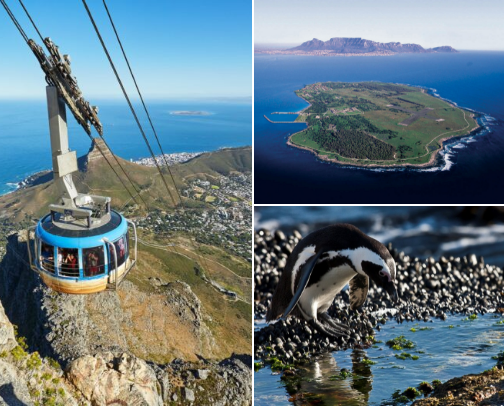 The Mother City Manifesto: 20 Peaks, Palms, and Peninsulas cover photo collage
