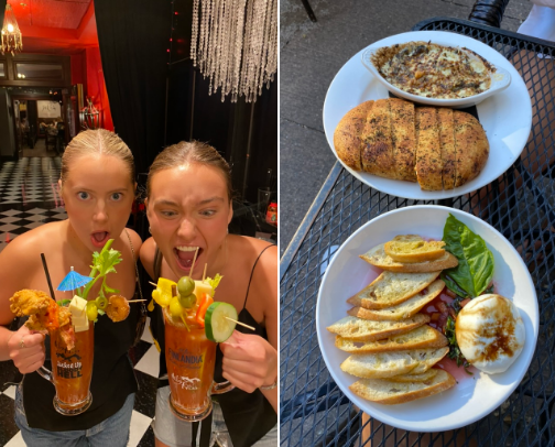 Minnesota spots cover photo collage