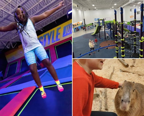 Fun for the family cover photo collage