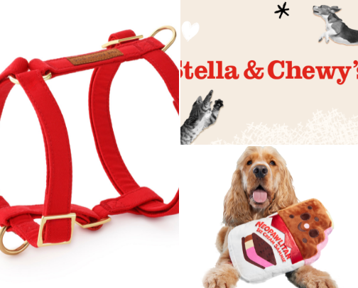 for the spoiled dogs only cover photo collage