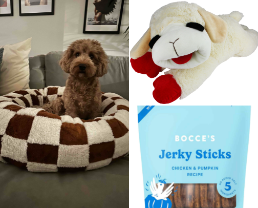 🐶 Tried and True Dog Essentials cover photo collage