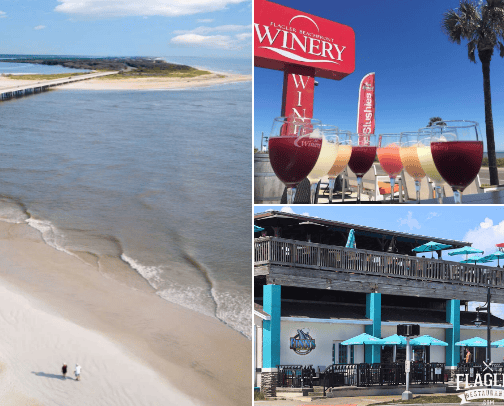 Things to do in Florida cover photo collage