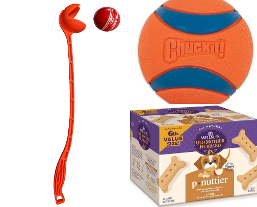 for the Dogs cover photo collage