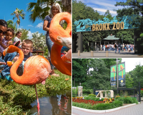 Zoos and Aquariums cover photo collage