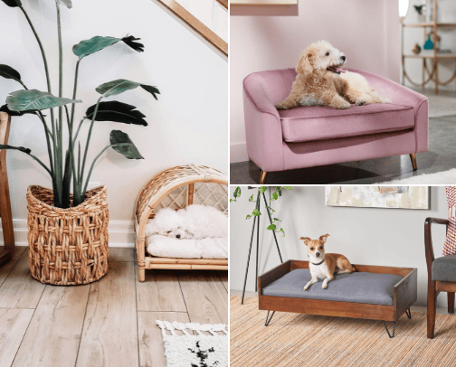 Cuddle time is always a good idea 🛏️🤍 cover photo collage