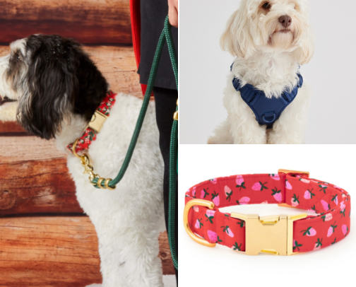 A dog is a girls best friend! cover photo collage