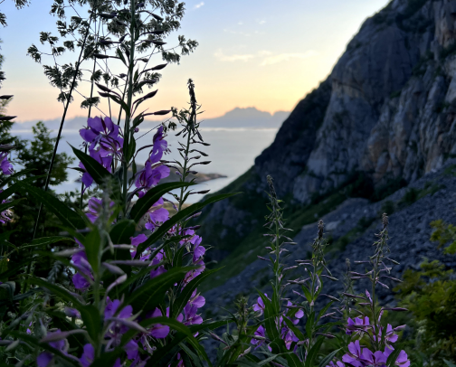 Norway Travel Tips cover photo collage
