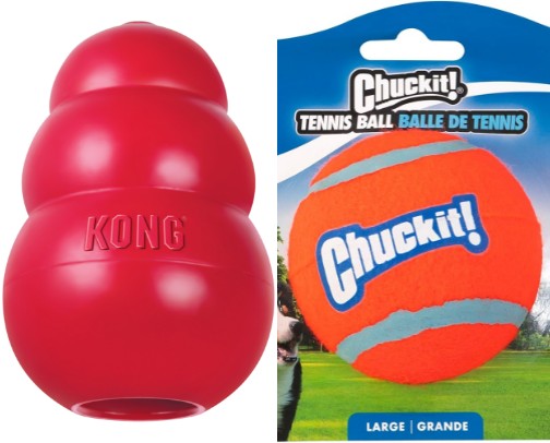 Good dog toys coming from a VA cover photo collage