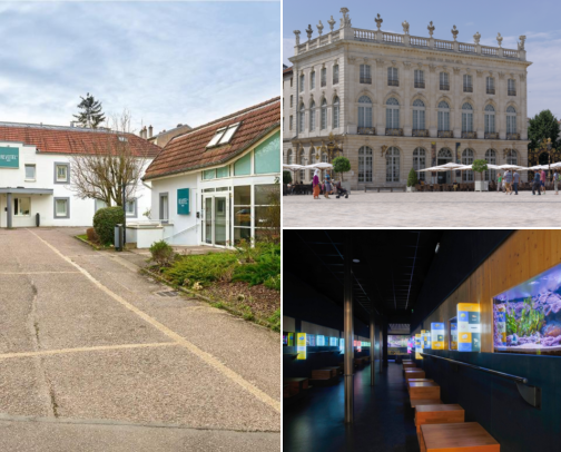 Grand Squares, Art, Easy Walks & Comfortable Stays Nancy, France cover photo collage