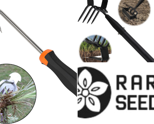Gardening tools and tips for a green thumb cover photo collage