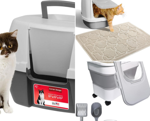 Small‑Space Cat Living Essentials cover photo collage