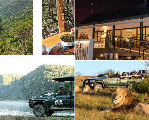 Places to visit in Kenton On Sea 🏝️ cover photo collage