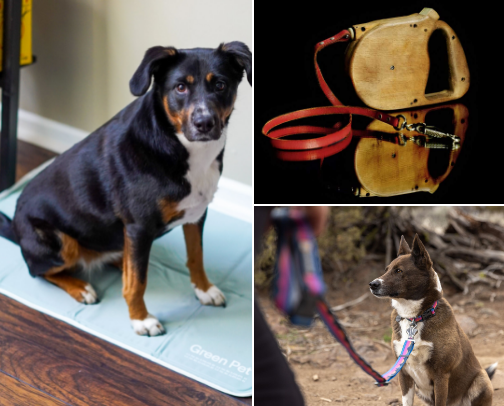 Pet owners must haves cover photo collage