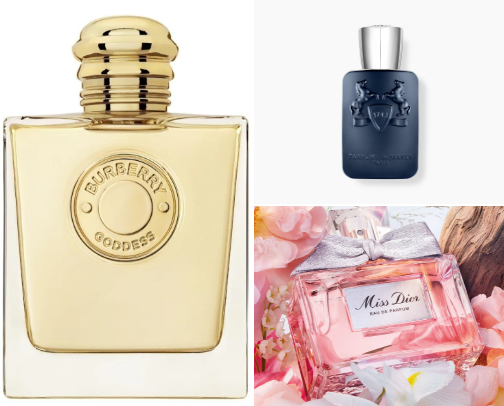 perfume cover photo collage