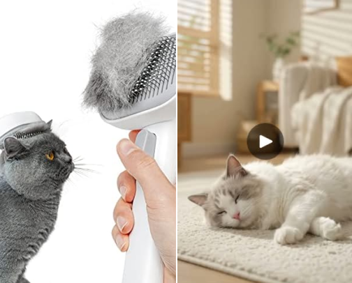 🐾 Pet Essentials & Finds cover photo collage