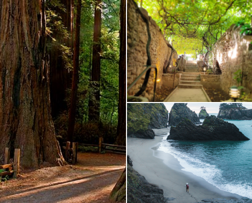 Bucket List- Autoimmune Edition cover photo collage