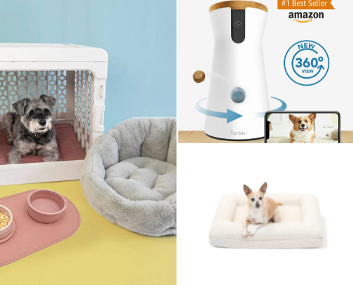 The Puppy Survival Kit cover photo collage