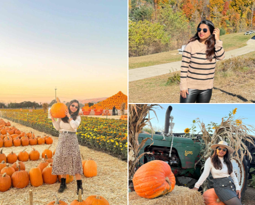 Fall finds cover photo collage