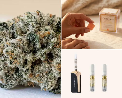 Cannabis Education for Beginners: Guides, Basics & Products I Trust cover photo collage