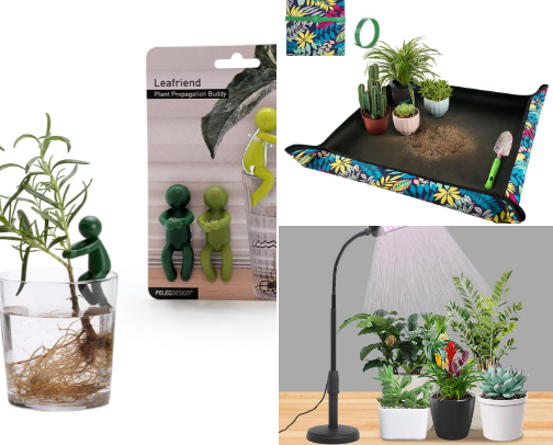 My plant daddy essentials cover photo collage