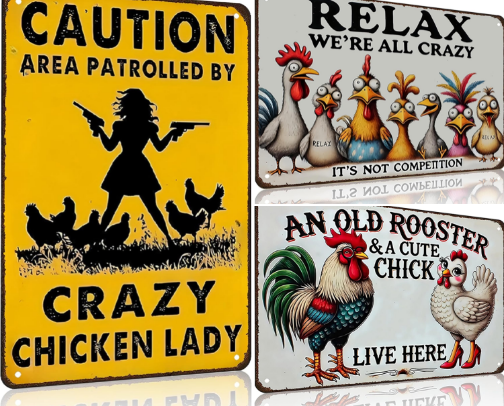 Chicken Stuff and More Chicken Stuff cover photo collage