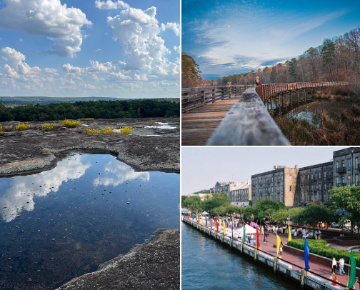 Sightseeing Ventures cover photo collage