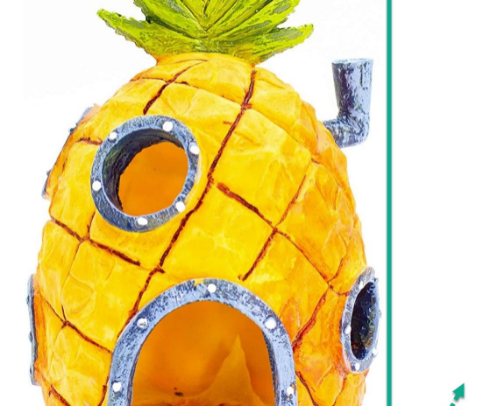 Decorative cover photo collage
