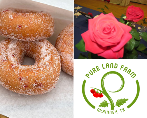 Unique Activities and Things to do in DFW cover photo collage