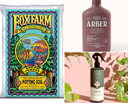 Indoor plant essentials cover photo collage