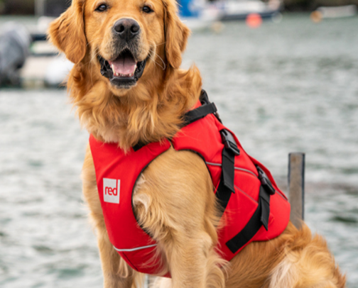 Wonderful Dog Life Vest cover photo collage