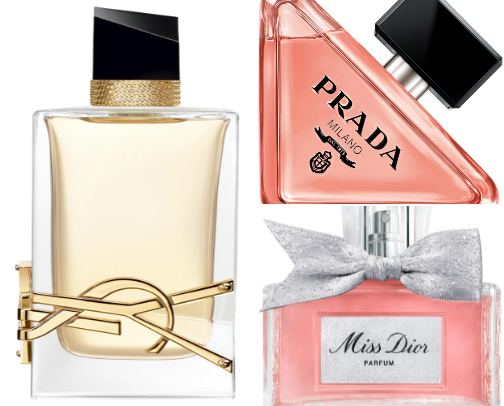 perfumes that turn heads cover photo collage