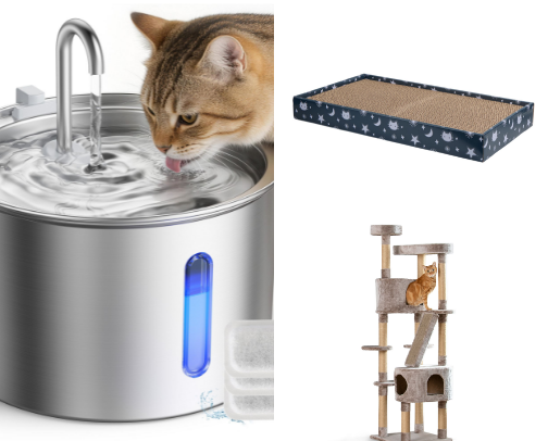 Everything Your Cat Needs! cover photo collage