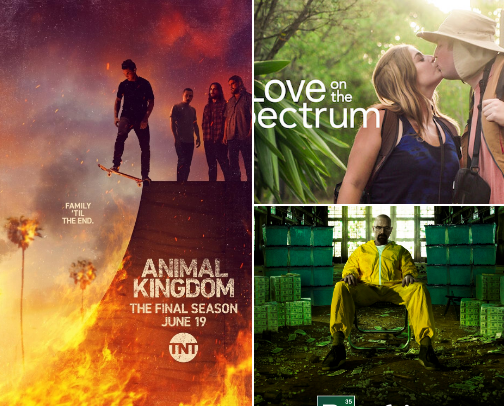 NETFLIX- top shows to binge 📺👀😳 cover photo collage