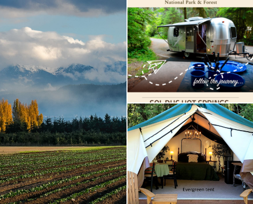 Camping on the Olympic Peninsula: Your Fall Escape Guide cover photo collage