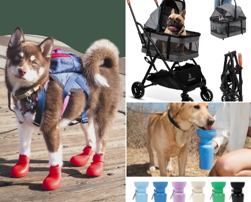 Road Trip Essentials (Pets + People!) cover photo collage