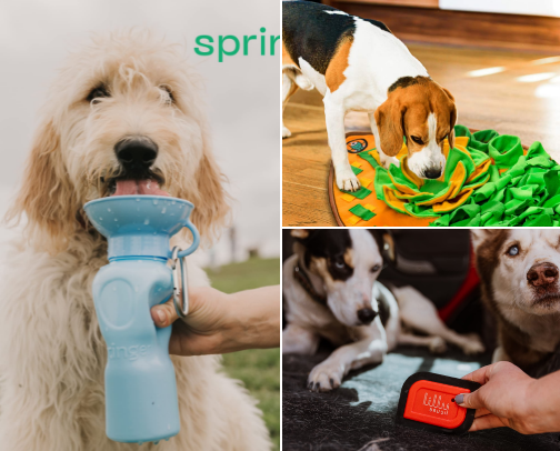 Pet Things (dogs 🐶) cover photo collage