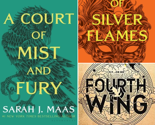 Books I couldn't put down in 2025 cover photo collage