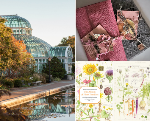 Sunday Reset & Digital Detox Evening Rituals cover photo collage