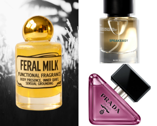 Cool Girl Fall Fragrances To Make Heads Turn🍁🐦‍⬛ cover photo collage
